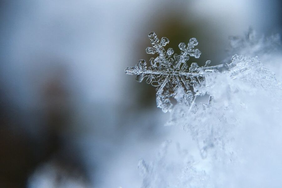 neve in eschimese