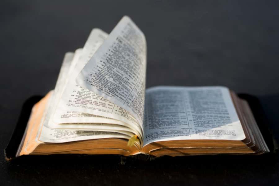 Neologisms: what are them?